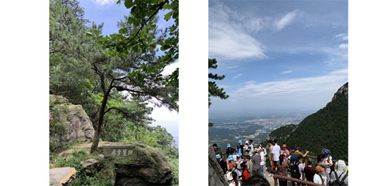 江蘇泰隆減速機（集團）股份有限公司